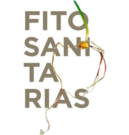 FPO