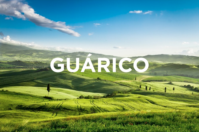 guarico