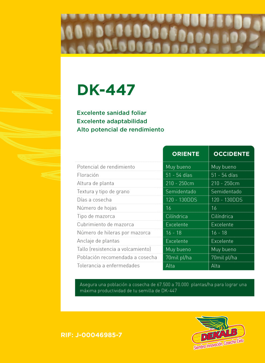 Tabla DK-447