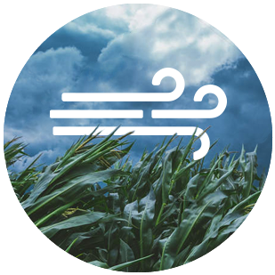 Velocidad de viento