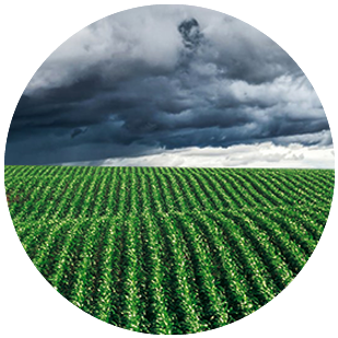 Monitoreo del clima