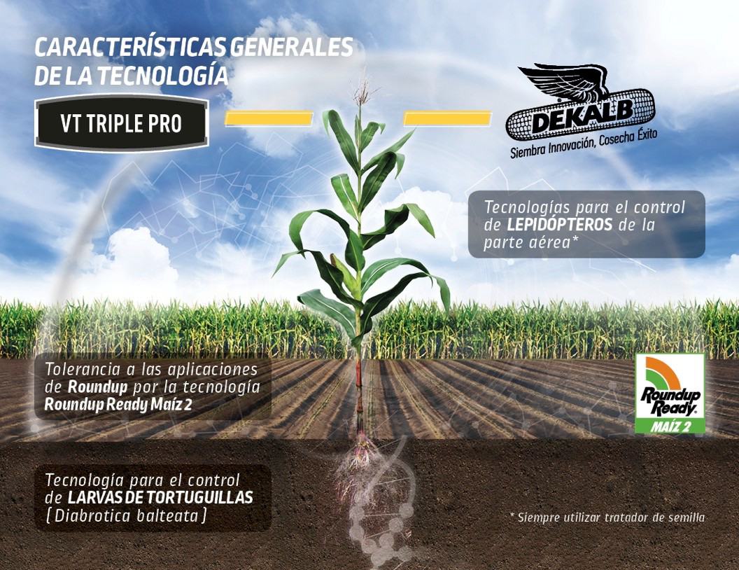 VT Triple Pro planata