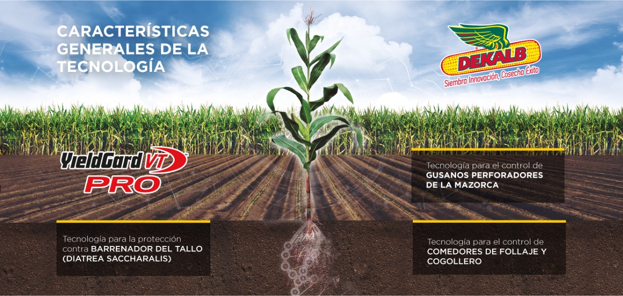 VT Triple Pro planata